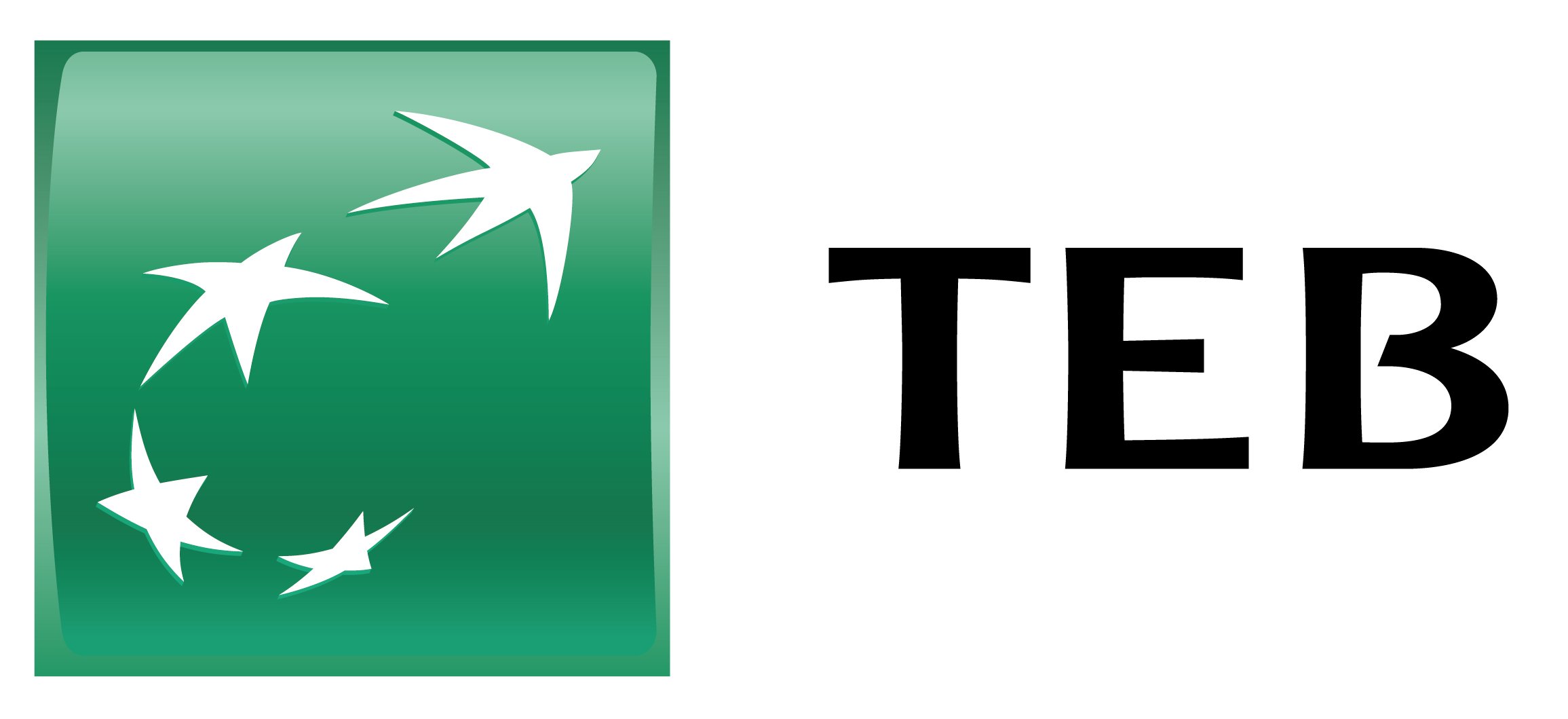 1581418987_TEB_logo