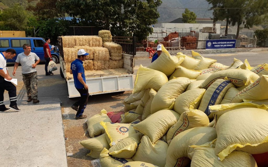 Muğla’dan 368 ton hayvan besini desteği