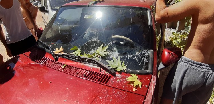 Adıyaman Besni'de otomobilin üstünde ağaç devrildi 1