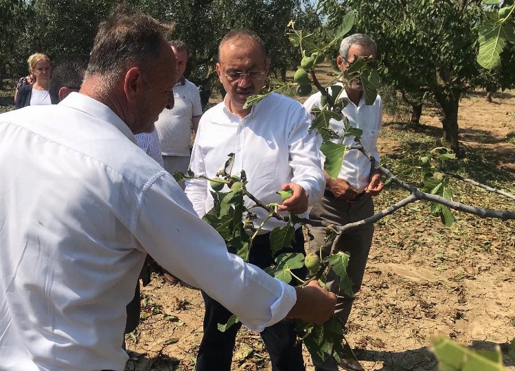 Bursalı çiftçinin zararı büyük 1