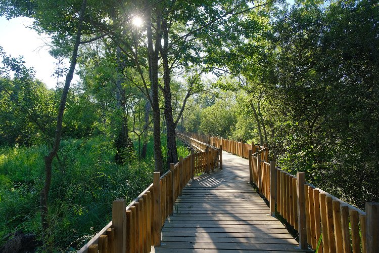 Bayramda Sakarya'da turistik noktalar ziyaretçi akınına uğradı 1