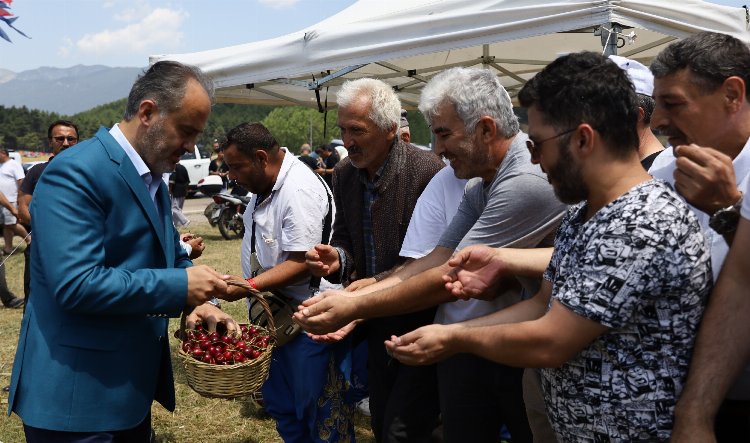 Bursa Keles Kirazı da coğrafi işarete kavuştu 2