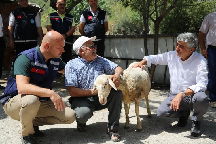 Manisa Saruhanlı'da yaralar sarılıyor 1