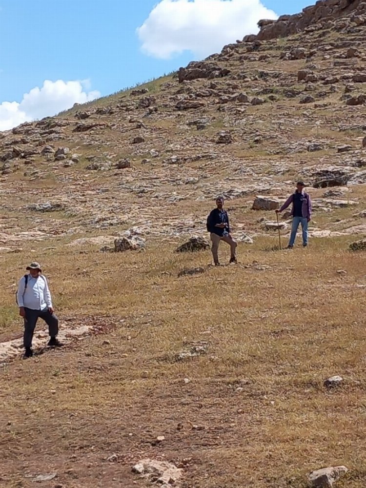 Mardin’de Pleistosen ve Erken Holosen için yaşam bulgusu 2