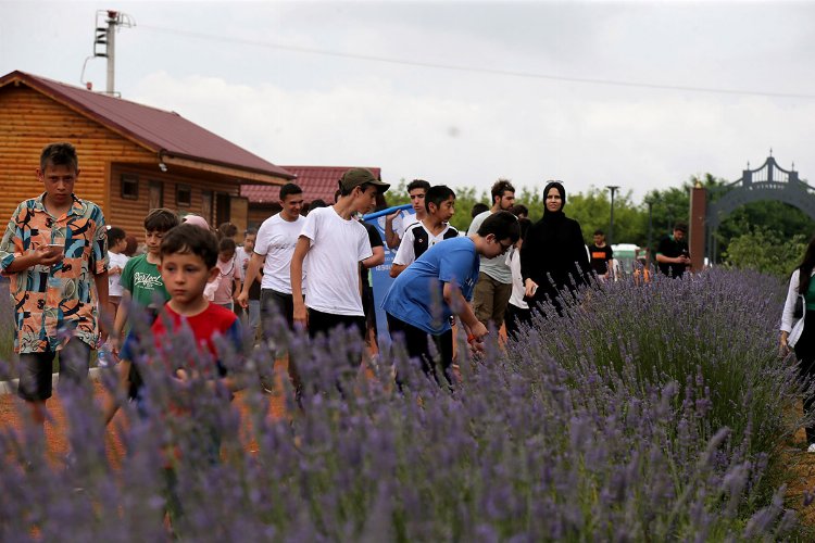 Sakarya'da 120 genç doğaya yakın temas kurdu 1