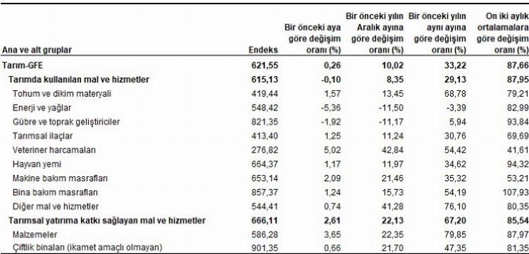 Tarım-GFE yıllık yüzde 33,22 arttı 2