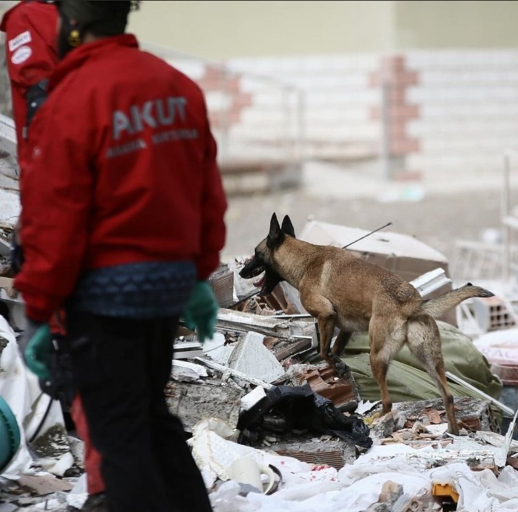 AKUT bünyesindeki arama köpekleri için iş birliği 1