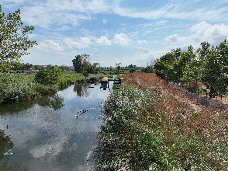 Bursa'da drone ile sinek avı 1