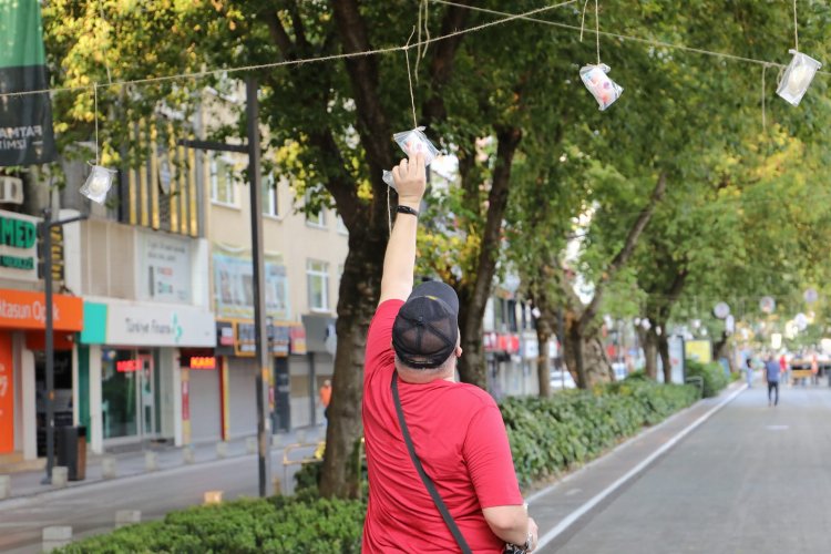 İzmit’te ağaçlar pişmaniye açtı 2