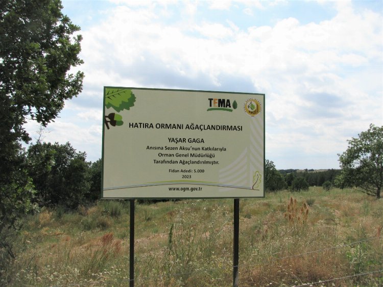 Sezen Aksu, Yaşar Gaga anısına hatıra ormanı oluşturdu 1