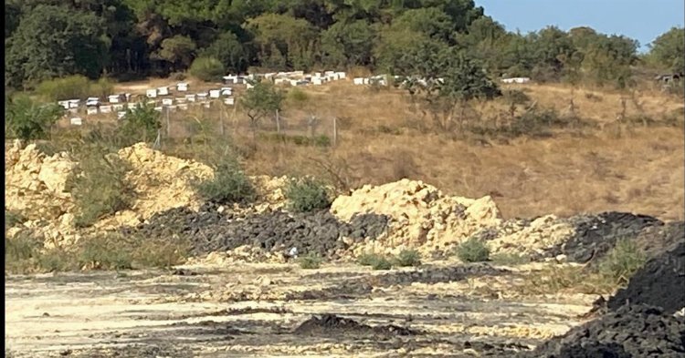 Turizm bölgesinde olumsuz görüntüler... Koku dayanılacak gibi değil! 2