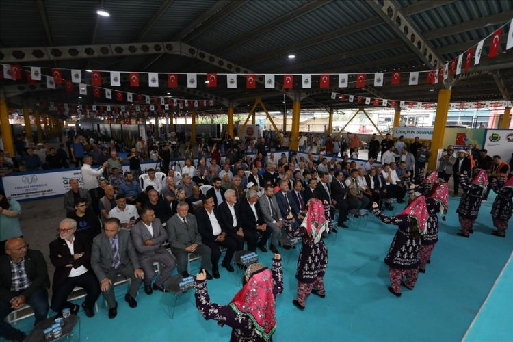 Bursa İnegöl’de 3. Küçükbaş Hayvancılık Festivali başladı 1