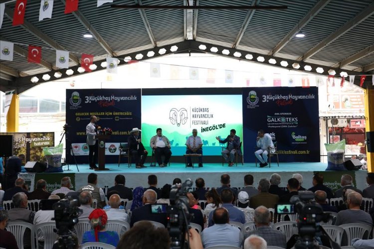 Bursa İnegöl’de 3. Küçükbaş Hayvancılık Festivali başladı 4