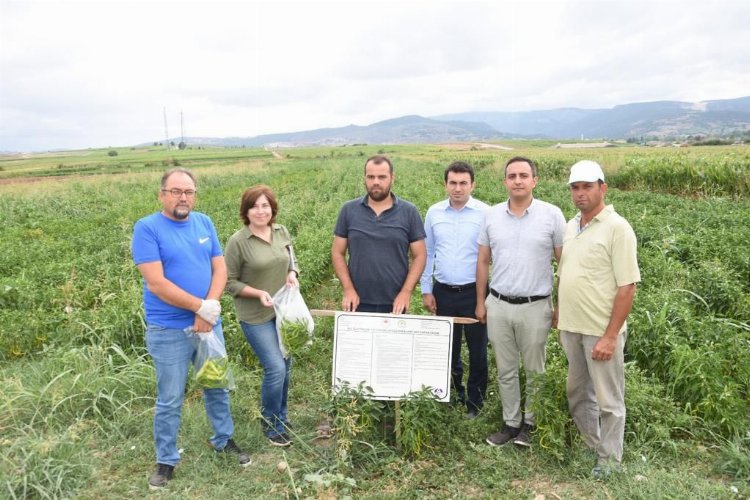 Bursa Yenişehir hem çiftçi, hem de tüketici dostu belediye 1