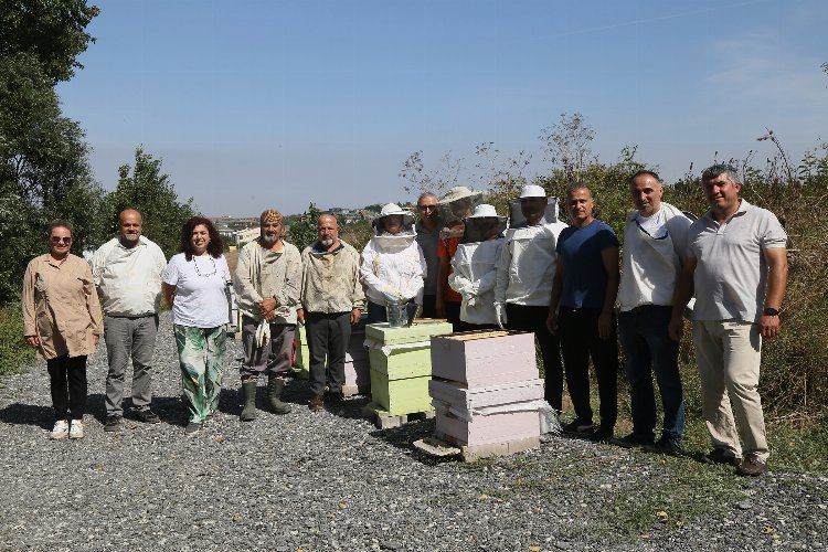 Büyükçekmece’de ilk bal hasadı gerçekleşti 1