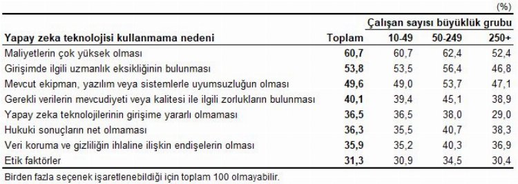 Girişimcilerin yüzde 96'sı internet erişimine sahip! Yapay zeka girişimleri artıyor 3