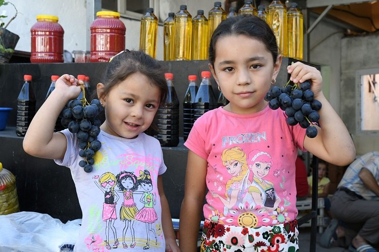 Kavacık Üzüm Festivali'ne 'pazar' akını 1