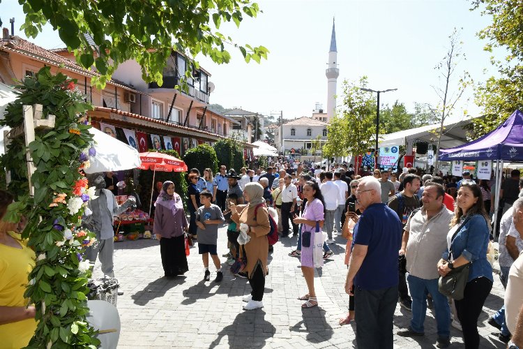 Kavacık Üzüm Festivali'ne 'pazar' akını 2