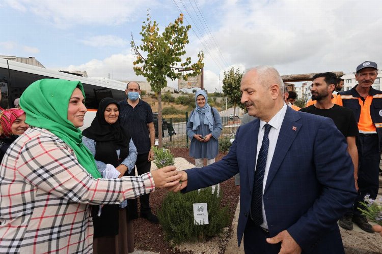 “Şifa Kapısında” bitki hasadı 1