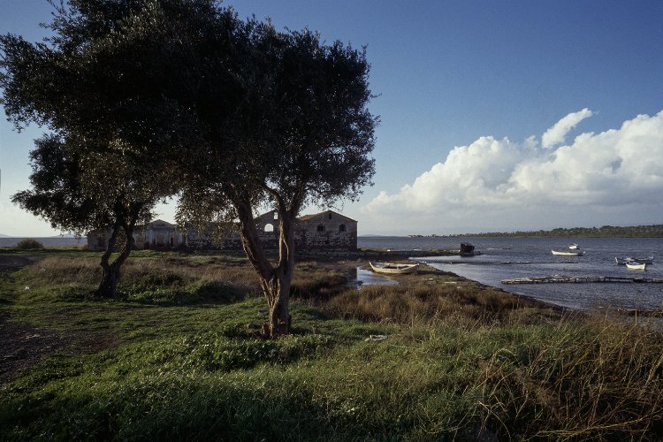 Ara Güler'in arşivinden Ayvalık fotoğrafları 1