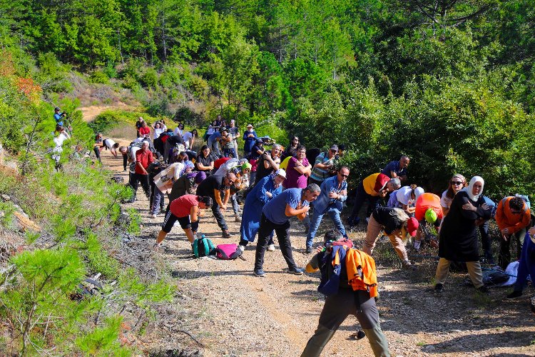 Sakarya'da doğa tutkunları anı tabiatla ölümsüzleştirdi 1