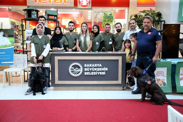 Sakarya'da Pati Festivali'nde renkli görüntüler 1