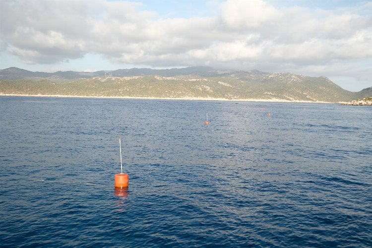 Denizlerin akciğeri deniz çayırları korunacak 1