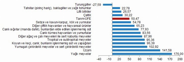 Tarım-ÜFE Kasım'da geriledi 2