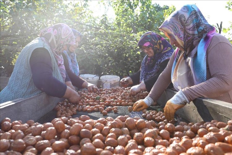 Bursa İnegöl’de 2023 senesi 'tarım yılı' oldu 3