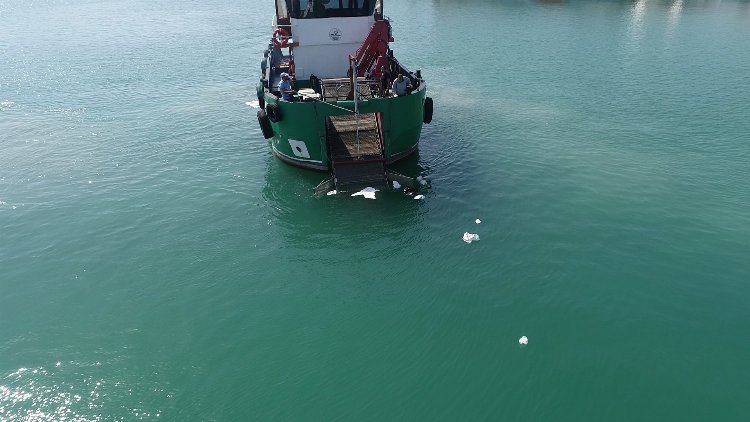 Hatay'ın deniz ve sahilleri Büyükşehir'le temizleniyor 1