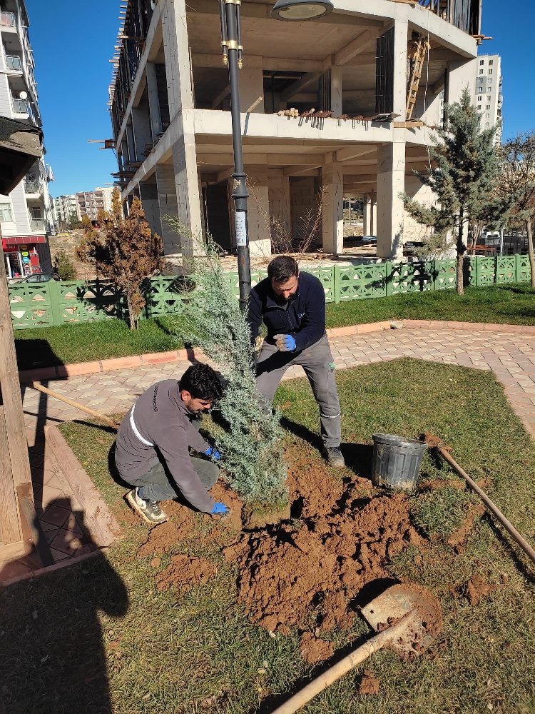 Mardin Artuklu Belediyesi'nden fidan dikim seferberliği 1