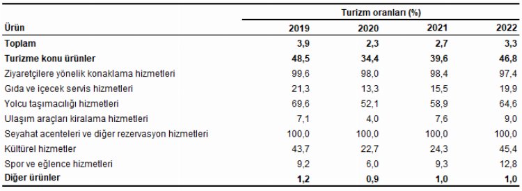 Türkiye'de yüzde 97,4 turizm amaçlı konakladı 2