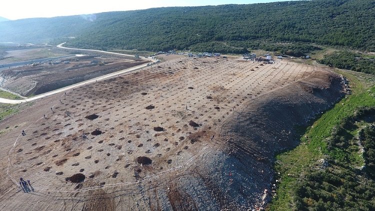 Muğla'daki devasa vahşi alan doğaya geri dönüyor 1