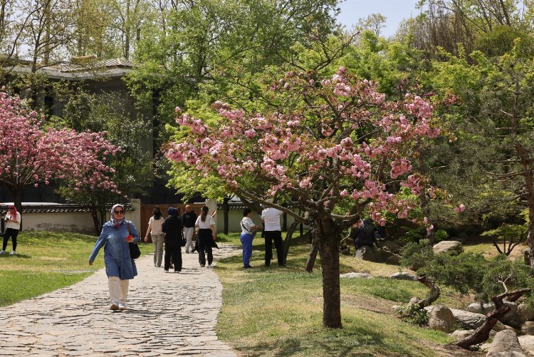 İstanbul'da 'Japon Bahçesi'ne yoğun ilgi 3